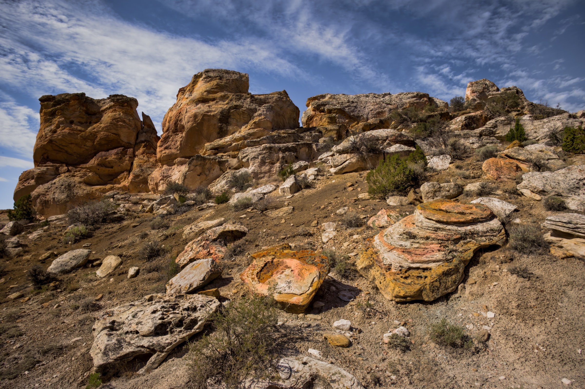 L1008919-DeNoiseAI-raw-Edit.jpg