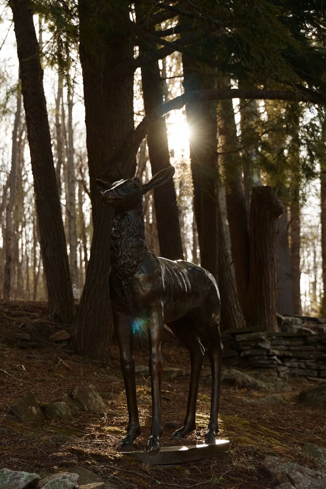 Deer Mountain-15.jpg