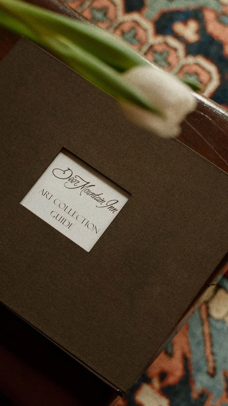 Deer Mountain-14.jpg