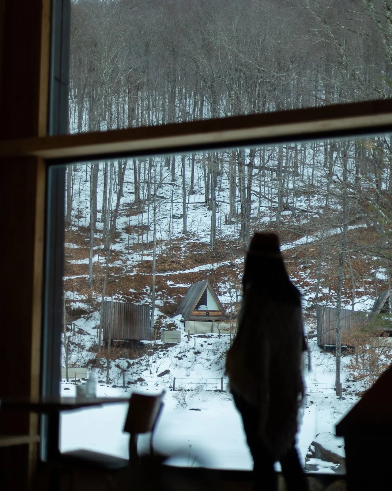 Eastwind Oliverea Valley-21.jpg