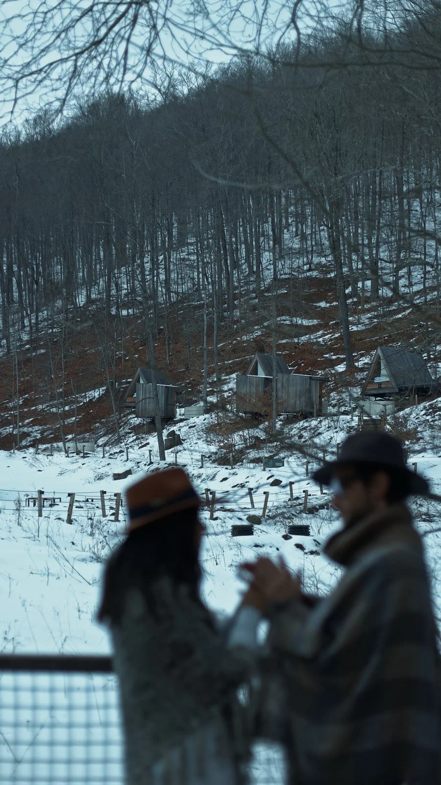 Eastwind Oliverea Valley-19.jpg