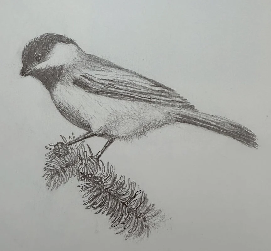 Drawing at Night
