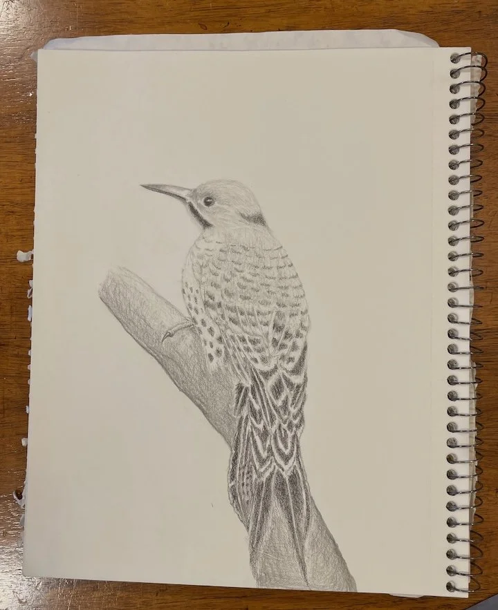 Call of the Birds