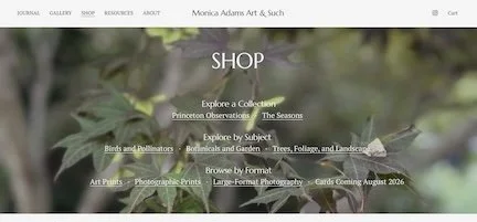 Creating Collections