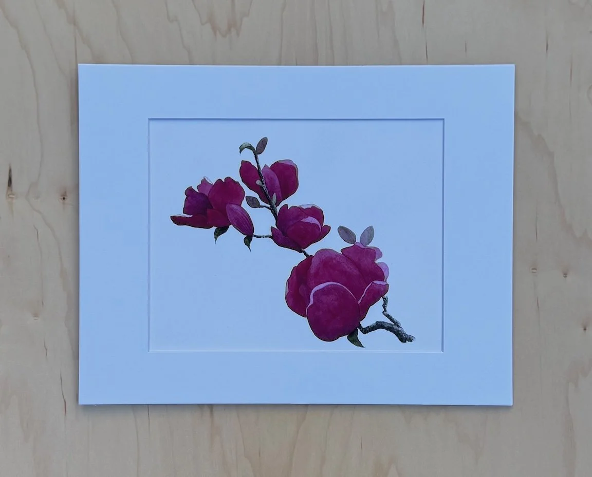 Genie Magnolia watercolor print with deep magenta blossoms on a branch, matted to 11x14, botanical art by Monica Adams