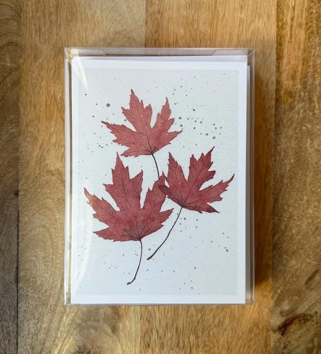 Lacy-Crimson-Maple-Leaves-Watercolor-Painting-Card-Set-Monica-Adams-Art.jpeg