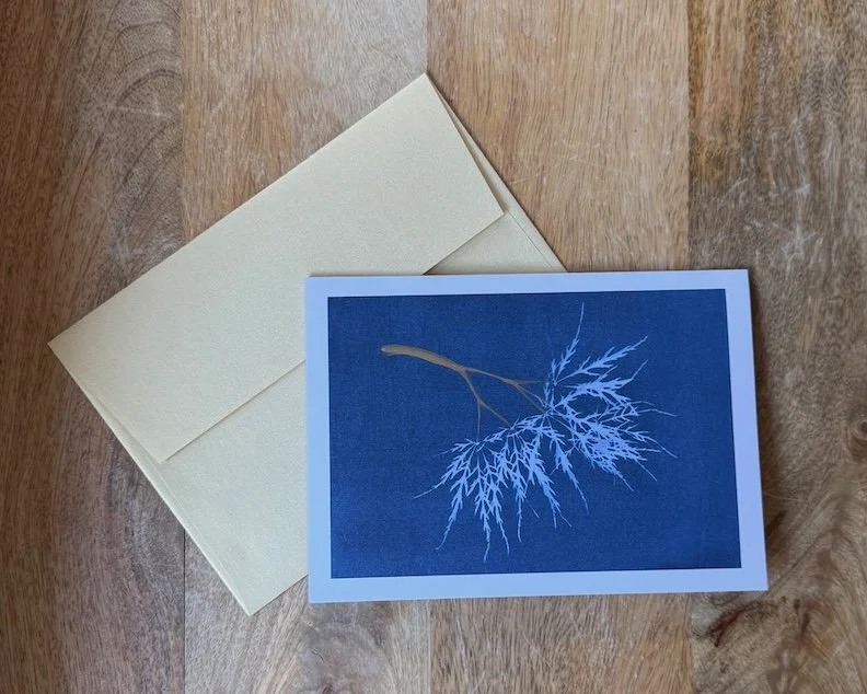 Crimson-Queen-Japanese-Maple-Leaf-Cyanotype-Art-Card-with-Gold-Envelope-Monica-Adams-Art.jpeg