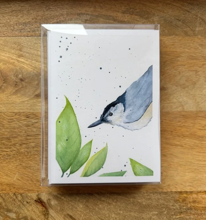 Set of 8 cards with envelopes containing a white-breasted nuthatch and green leaves by artist Monica Adams