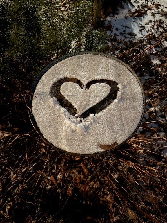 Bird Bath in Winter · Photography (2026) · Winter bird bath transformation