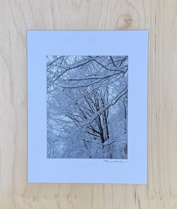 Snow-Trees-Photographic-Print-Monica-Adams-Art.jpeg