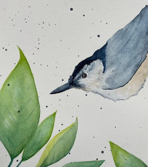 white-breasted-nuthatch-green-leaves-watercolor-painting.jpeg