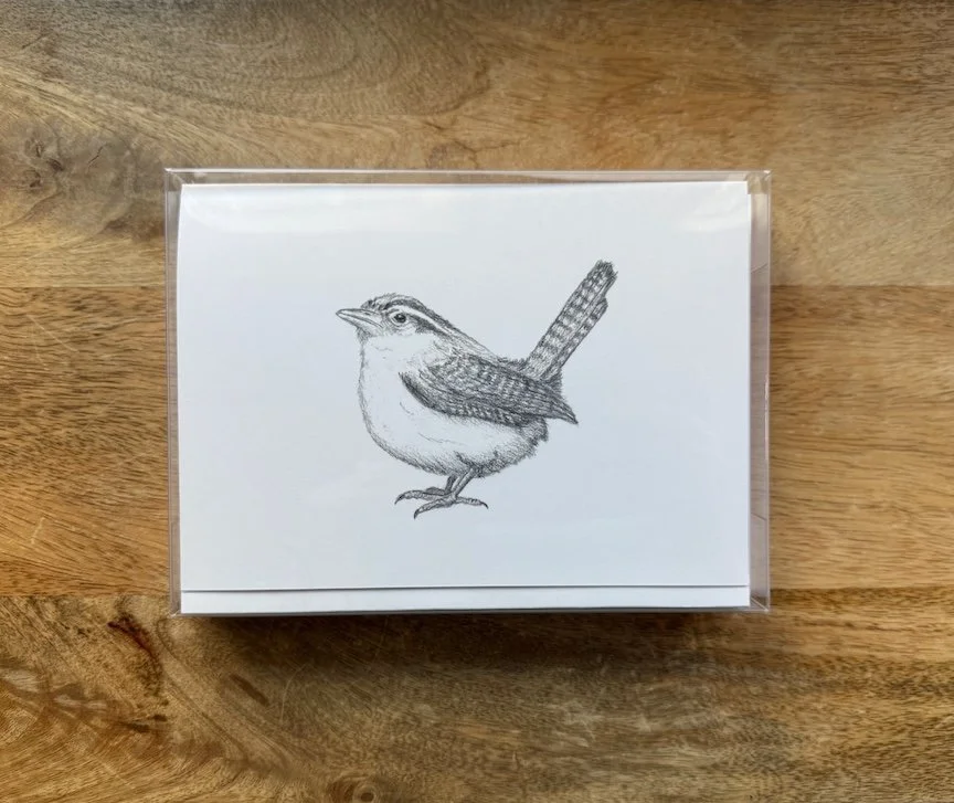 Carolina-Wren-Art-Card-Set-of-8-Monica-Adams-Art.jpeg