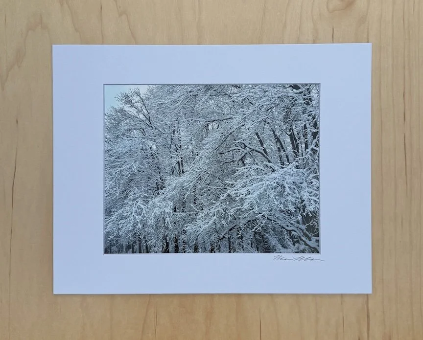 Snow-Trees-Horizontol-Photographic-Art-Print-Monica-Adams-Art.jpeg
