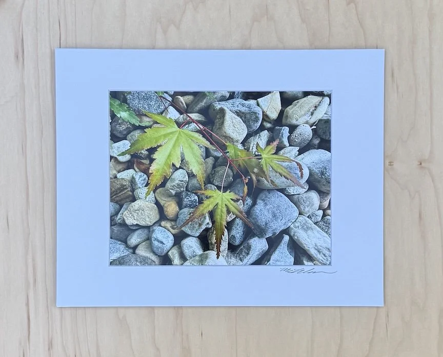 Between Leaf and Stone - Matted Archival Fine Art Photographic Print (11 x 14")