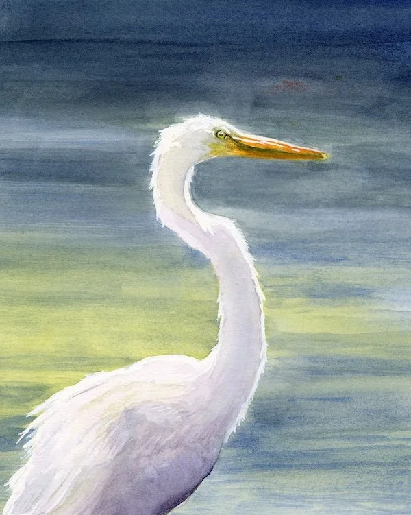 Egret in Water - Watercolor Painting (2026) - Inspired by a trip to the beach 