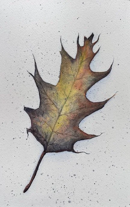 autumn-oak-leaf-watercolor-painting-cream-background.jpeg