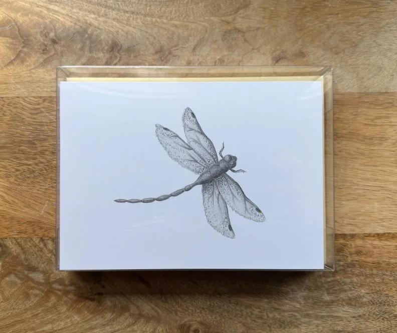 Dragonfly-Card-Set-Pencil-Drawing-Monica-Adams-Art.jpeg
