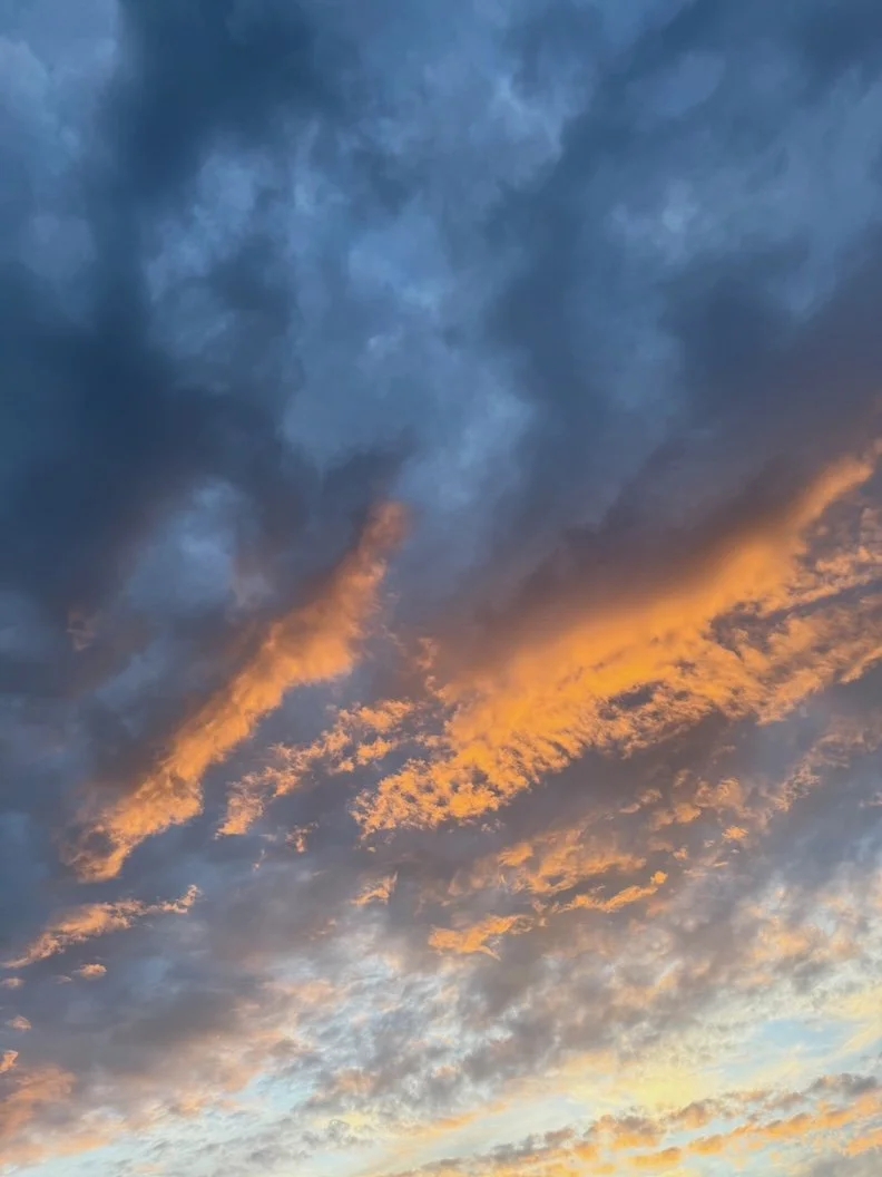 Darkening Sky 1 · Photography (2025) · Princeton, NJ
