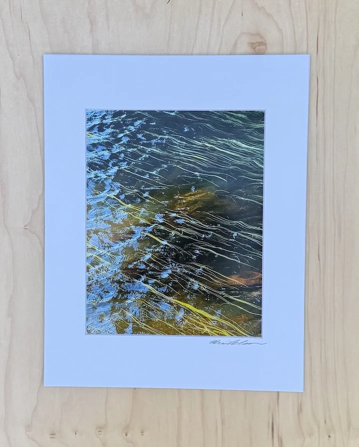 Fine art photograph of underwater grasses swaying beneath the water's surface, revealing flowing textures, soft light, and natural patterns.
