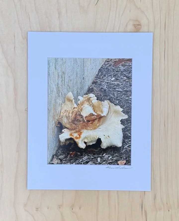 Unruly-Mushroom-Photographic-Print-Monica-Adams-Art.jpeg