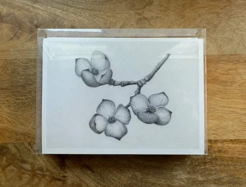 Set of 8 printed cards based on original hand-drawn dogwood blossoms by Monica Adams Art