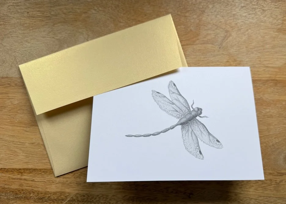 Dragonfly-Art-Card-with-Gold-Envelope-Monica-Adams-Art.jpeg