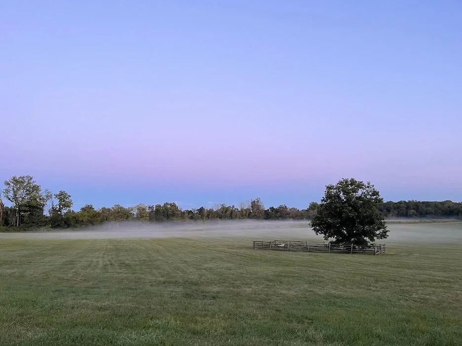 Fog Settling at Dusk · Photography (2023) · Princeton, NJ
