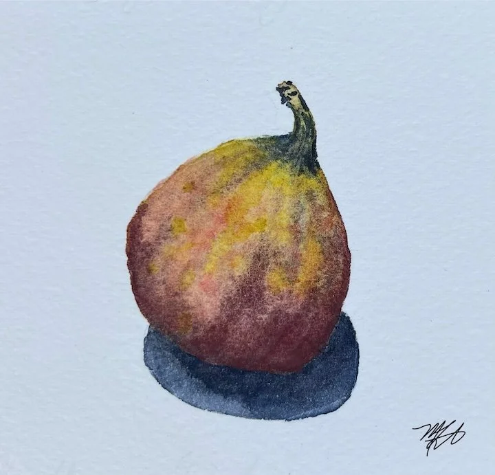 Turkish Fig · Watercolor (2026) · The last of the autumn figs