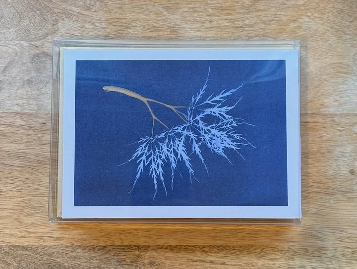 Crimson-Queen-in-Indigo-Artist-Card-Set-Monica-Adams-Art.jpeg