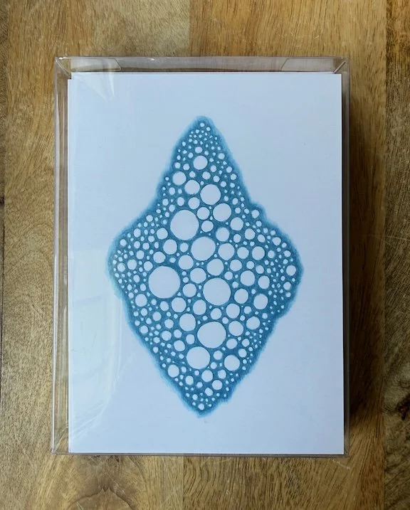 Bubbled-Form-in-Cerulean-Card-Set-Monica-Adams-Art.jpeg