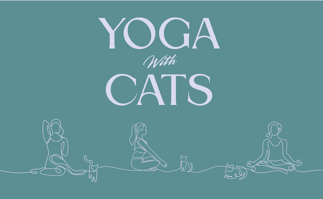 Yoga W/ Cats 