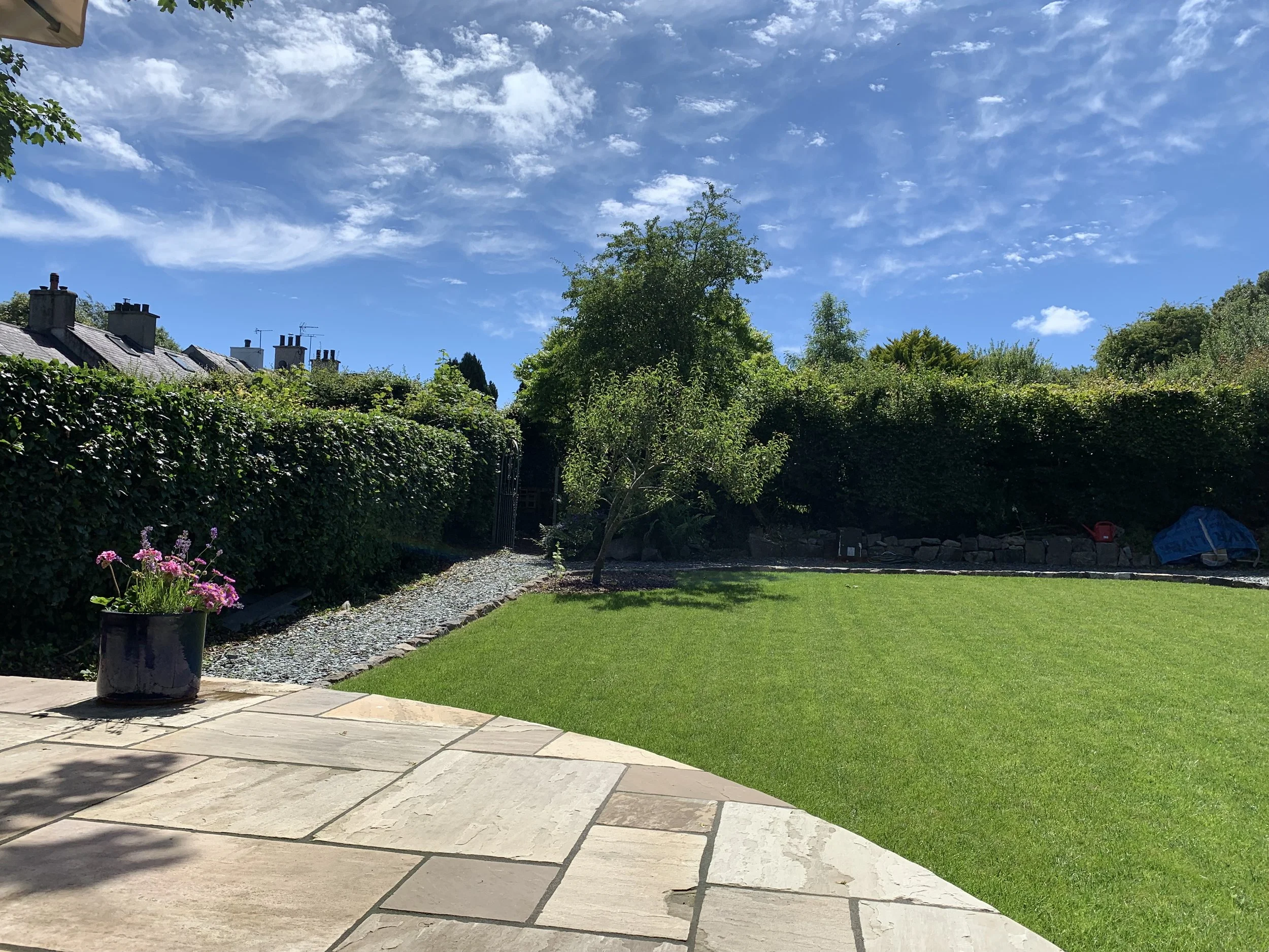 A backyard garden with a stone patio, a potted pink flower, a lush green lawn, and a tree with a hedge in the background under a blue sky with scattered clouds.
