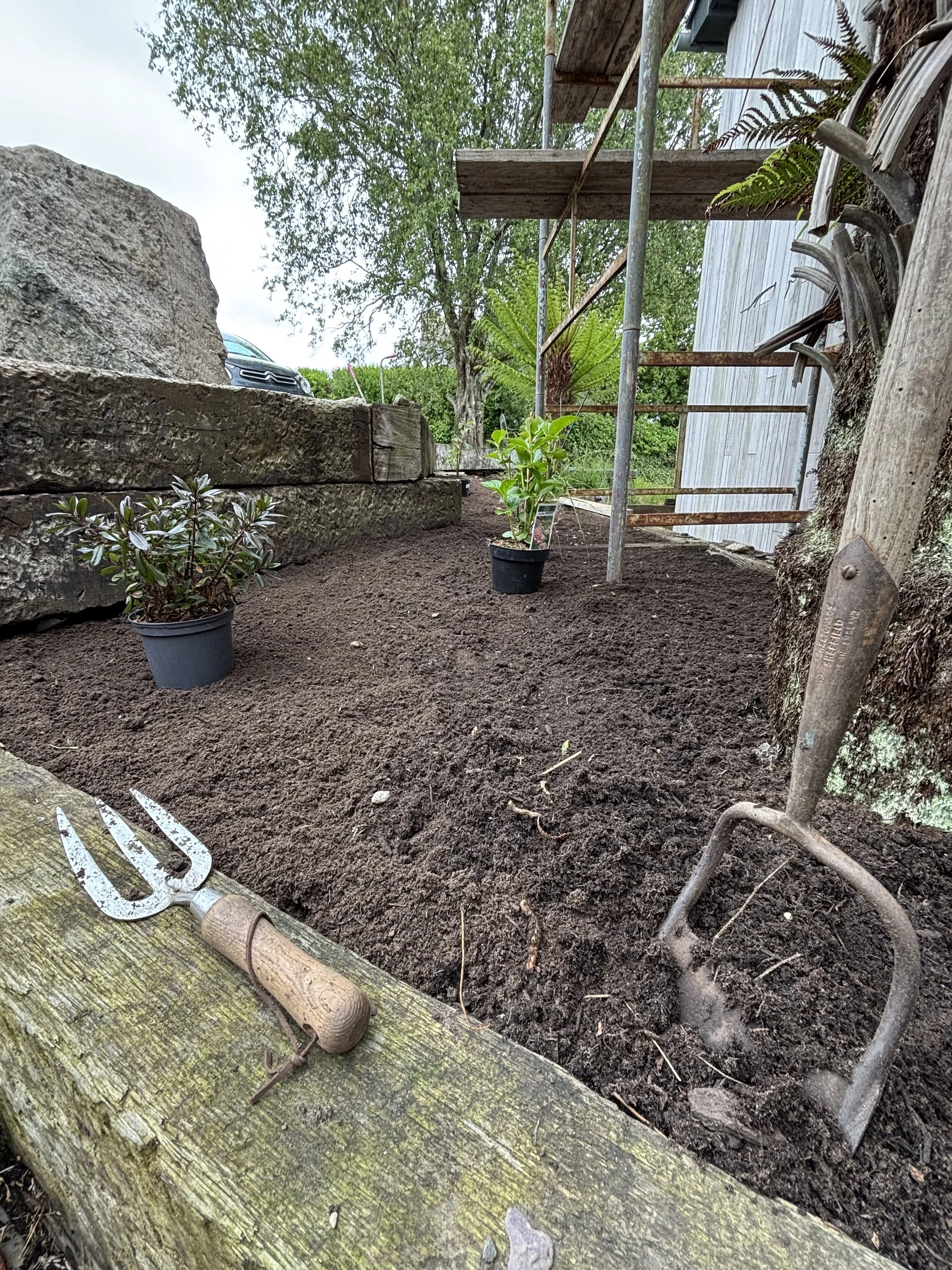 A garden area with freshly turned soil, two potted plants, a garden fork and hand rake resting on a weathered wooden surface, and a tree with ferns in the background.