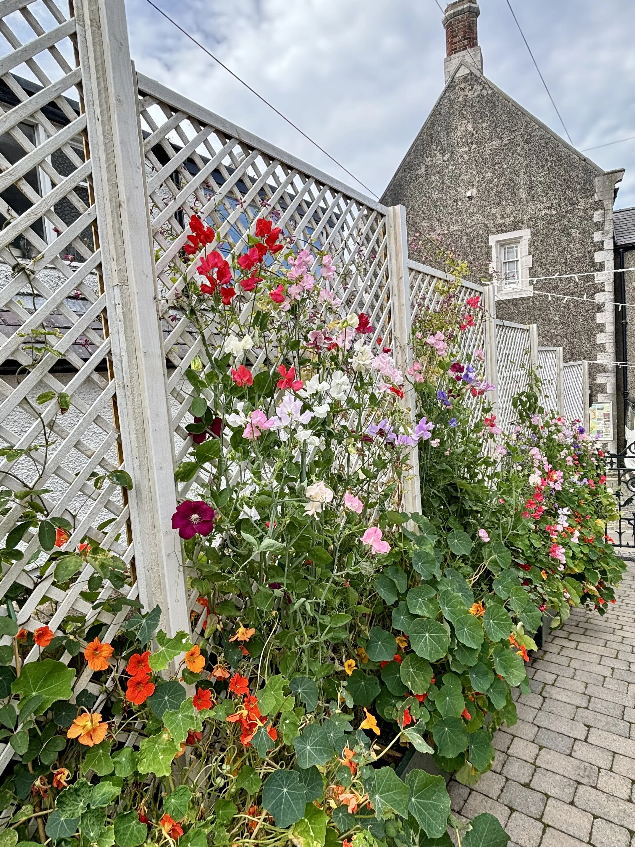 Colorful flowers growing along a white lattice fence on a sidewalk with gray brick pavement, in front of a stone building with a sloped roof and chimney.