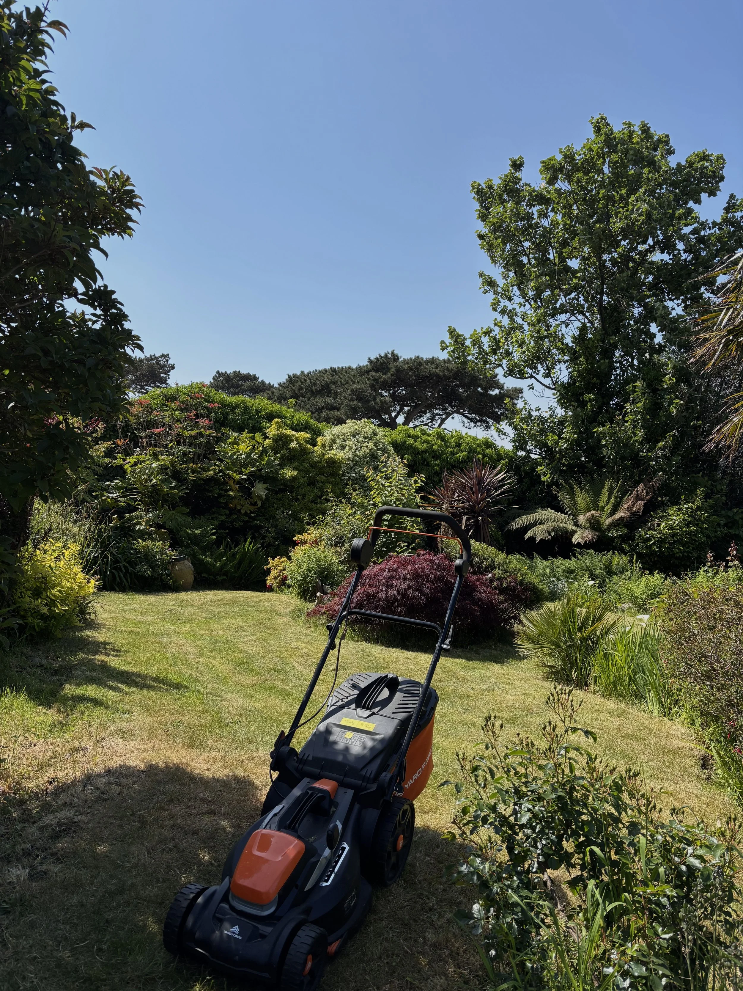 Lawn mower on a grassy garden path surrounded by lush green bushes and trees on a sunny day.