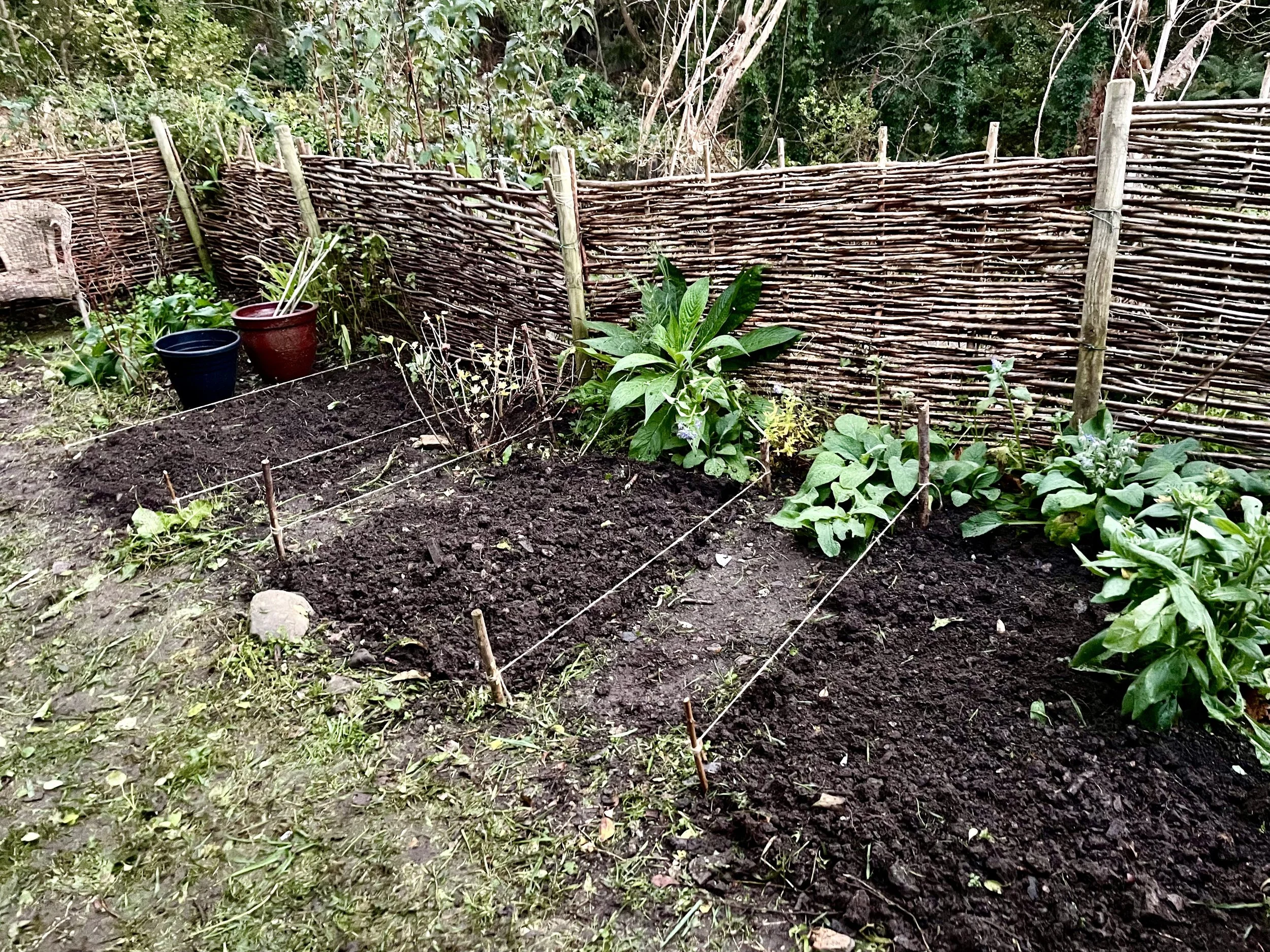A small garden plot with freshly turned soil, surrounded by a woven wood fence and green plants, with three empty pots on the left.