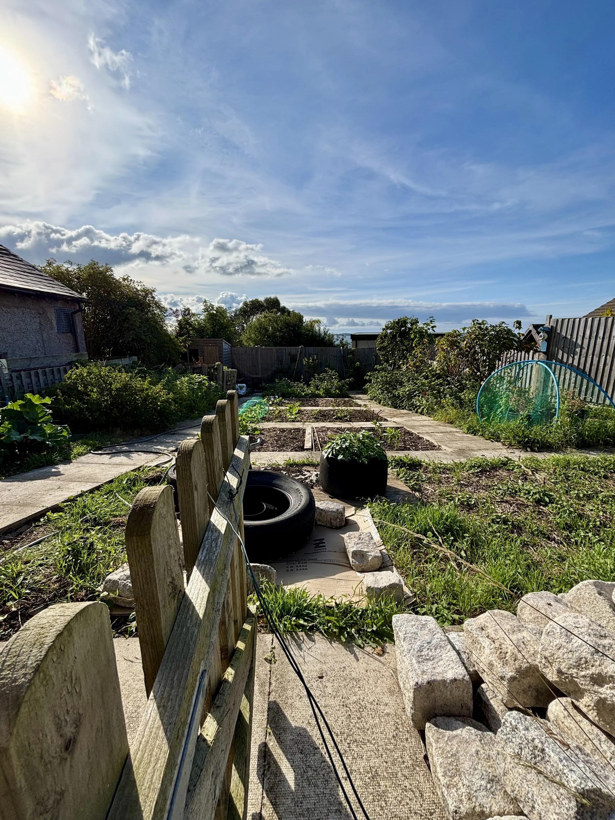 A backyard garden with raised beds, plants, and a clear blue sky with some clouds, viewed from a paved pathway lined with stones and a wooden fence.