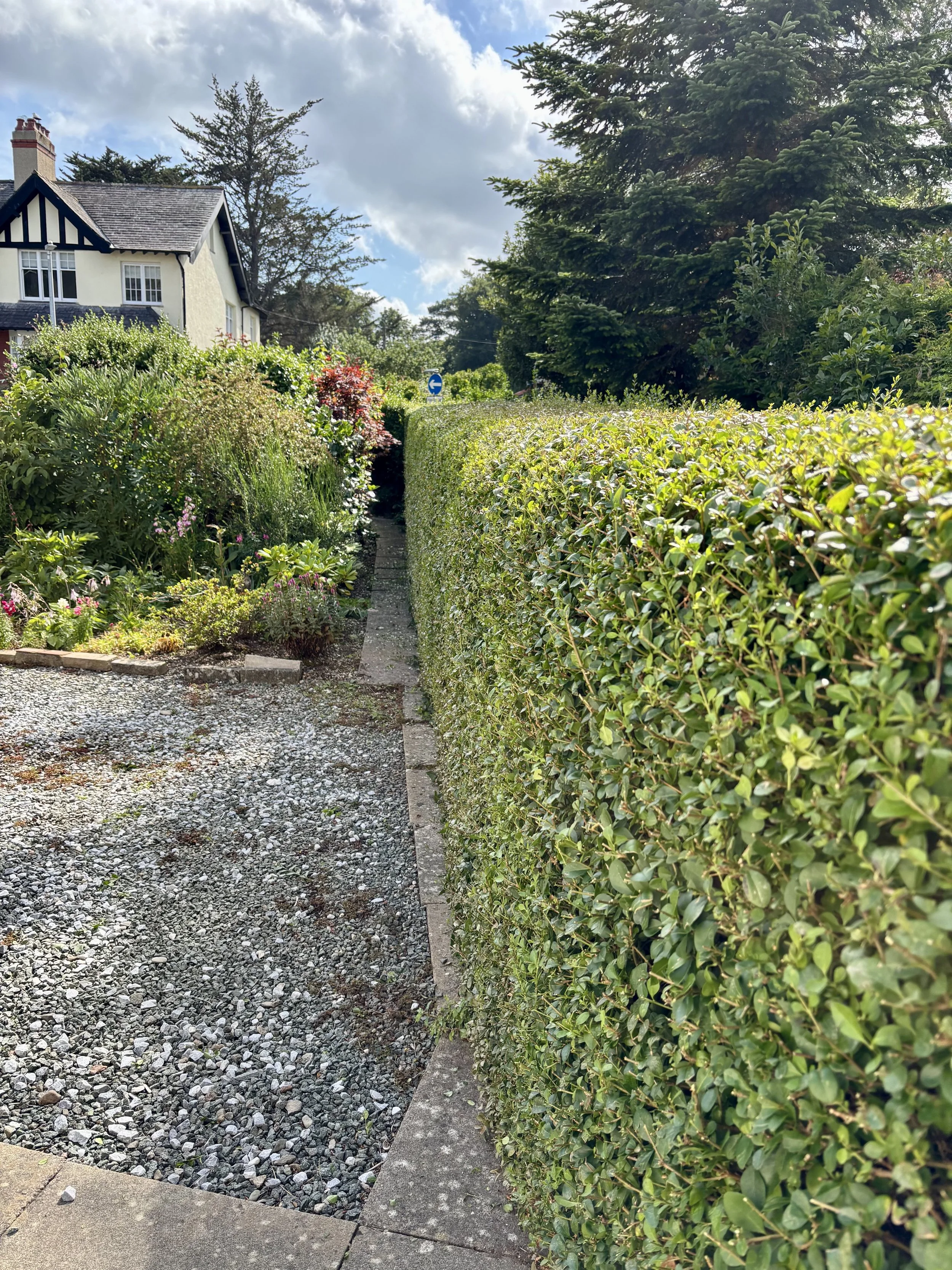 A narrow garden pathway bordered by a tall, dense hedge on the right and a flower garden on the left, with a white house with black trim and a chimney in the background, under a partly cloudy sky.