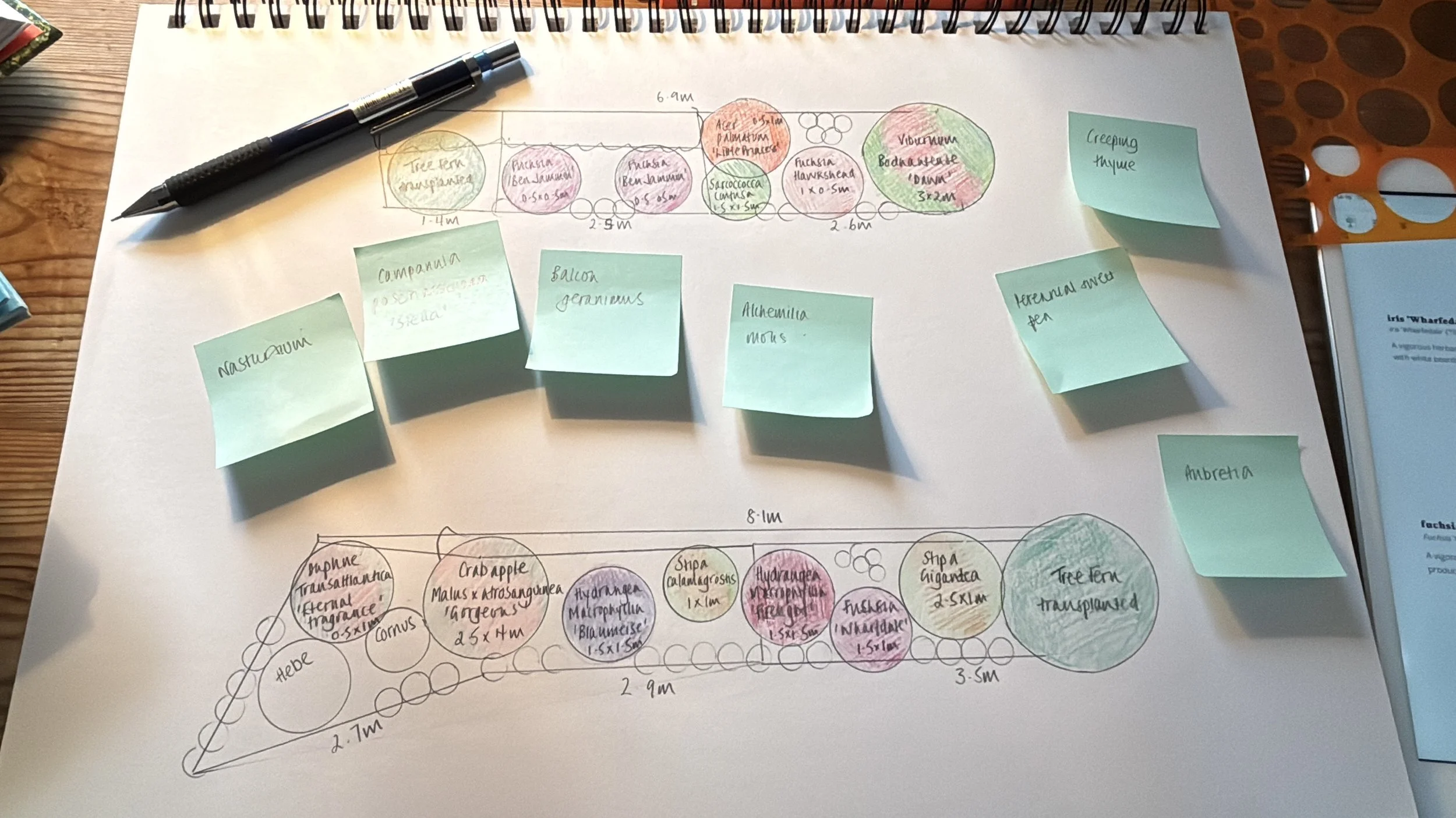 A hand-drawn garden layout with labeled plants and measurements, including sticky notes with plant names and notes.