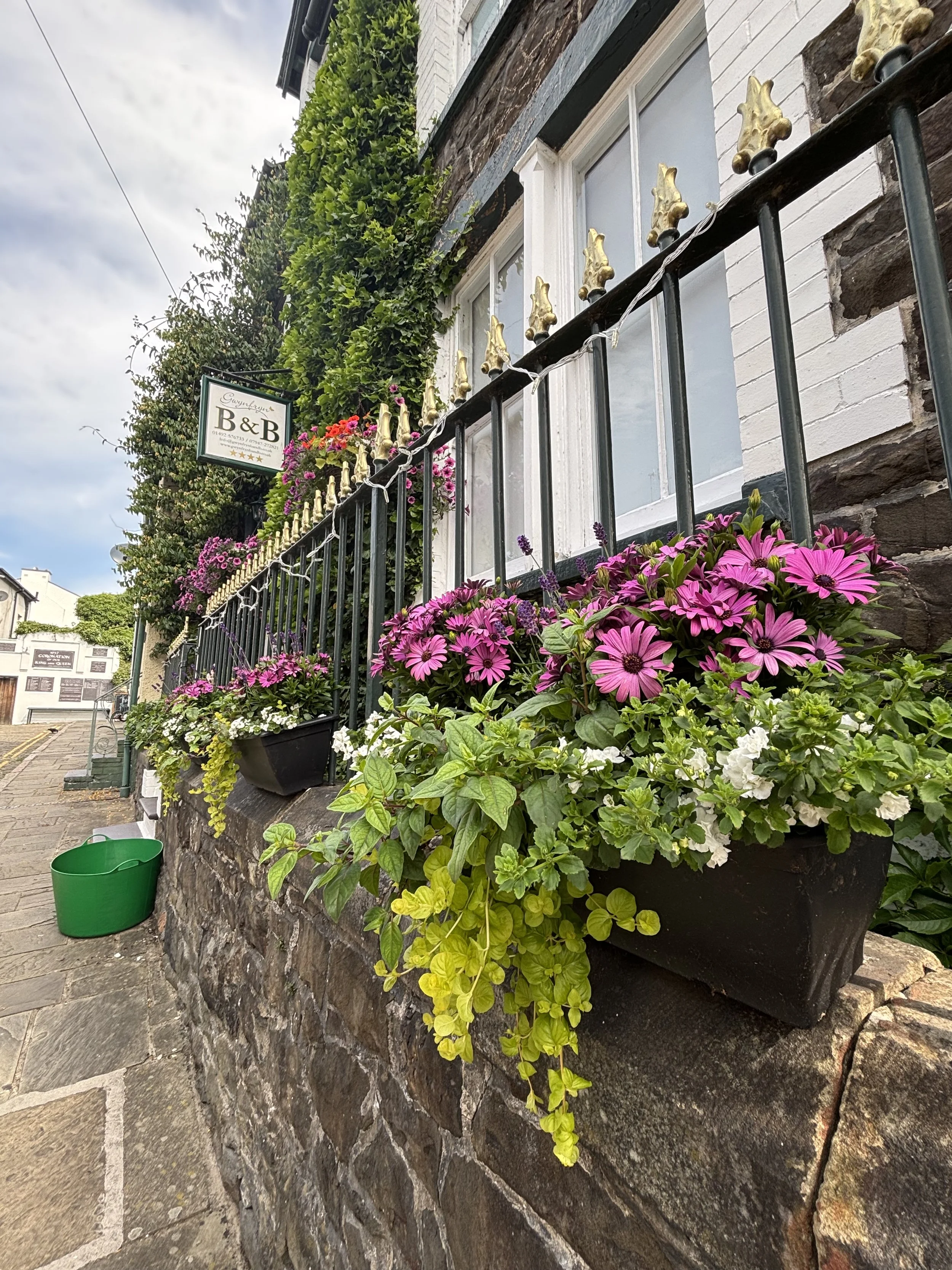Flowers in pots on a stone wall outside a building with a black metal fence, a sign reading 'Guesthouse B&B', and windows above decorated with gold ornaments.