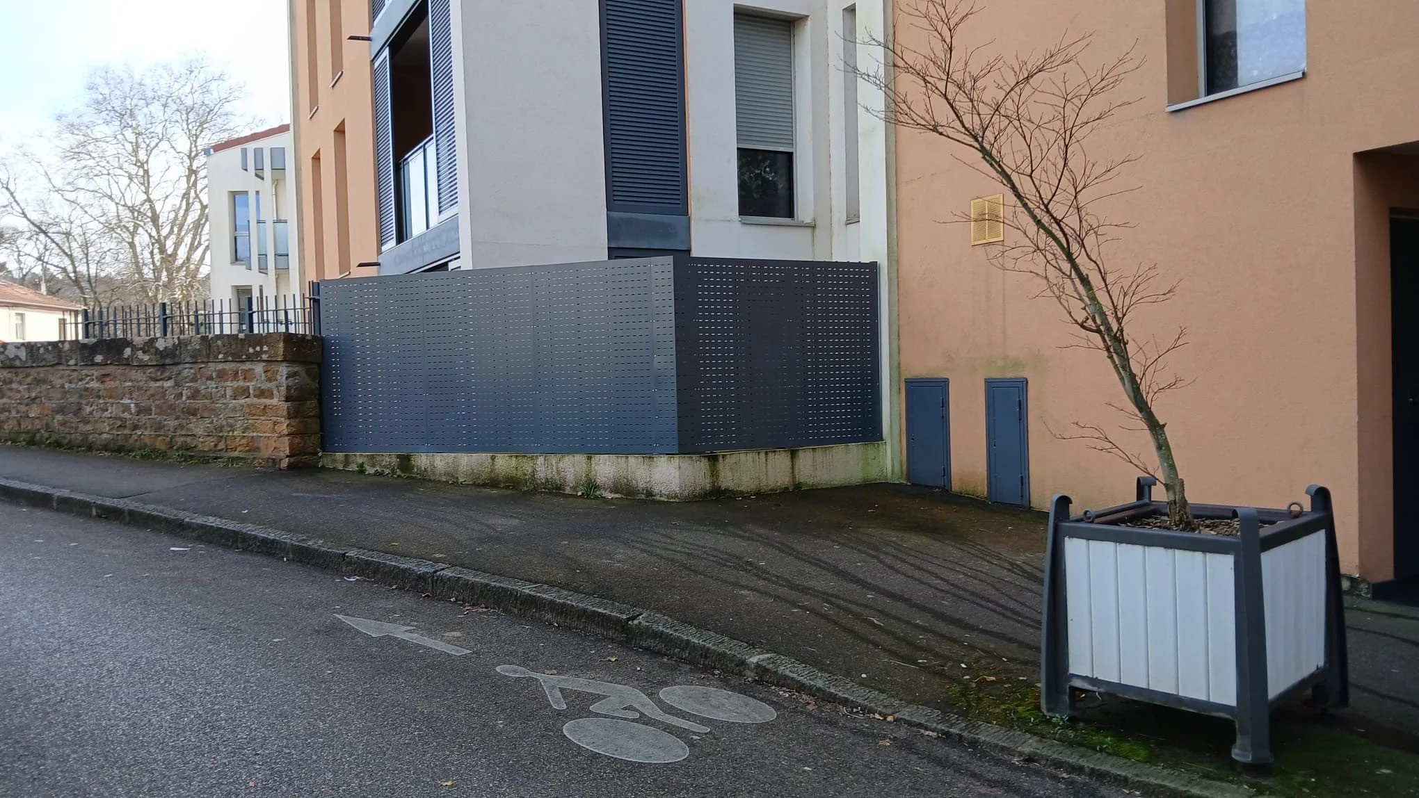 Un arbre sans feuilles dans un pot de jardin urbain, à côté d'un bâtiment résidentiel moderne avec des fenêtres à volets.