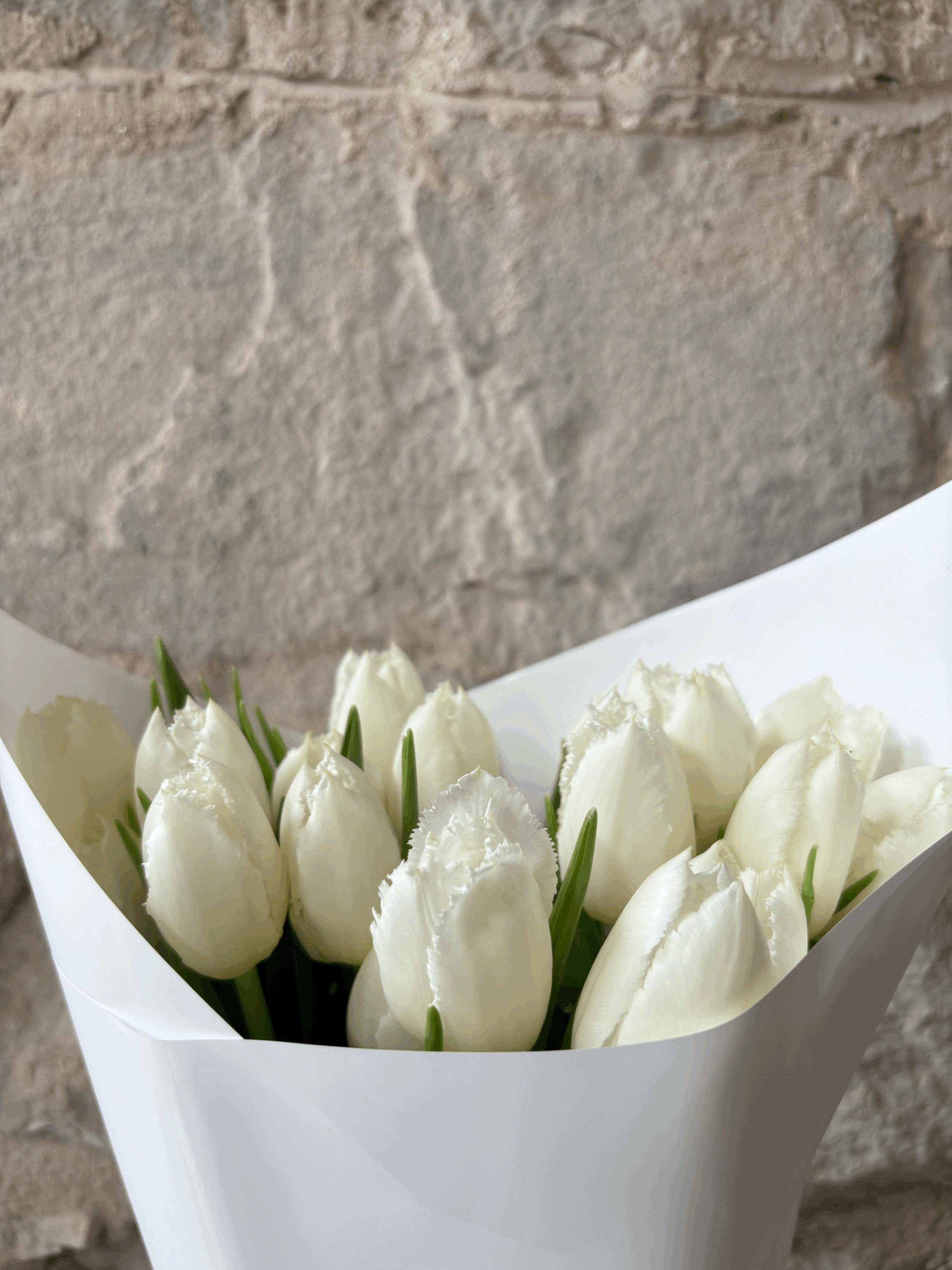 tempImageMOyh5g.gif