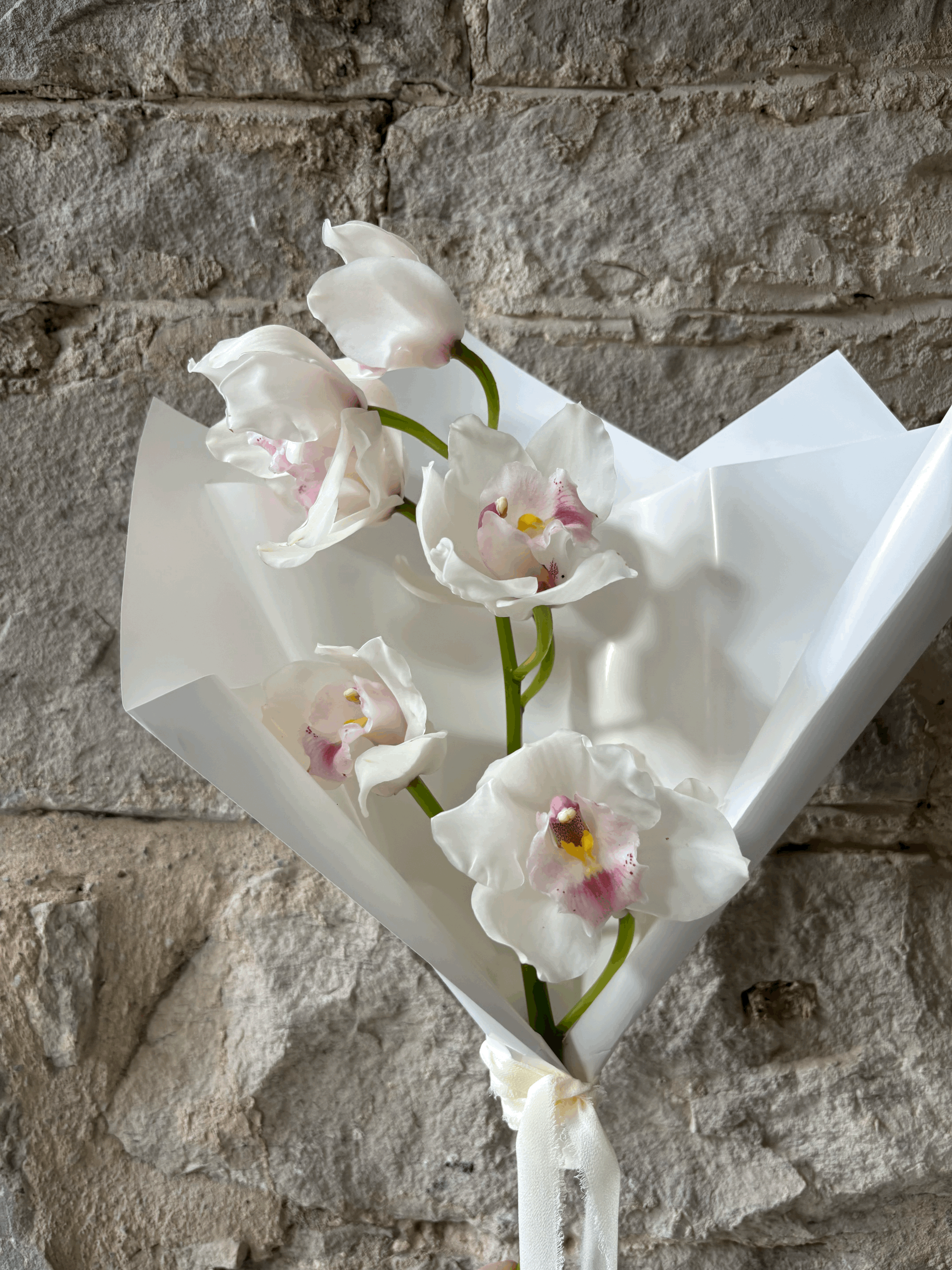 Orchid - white