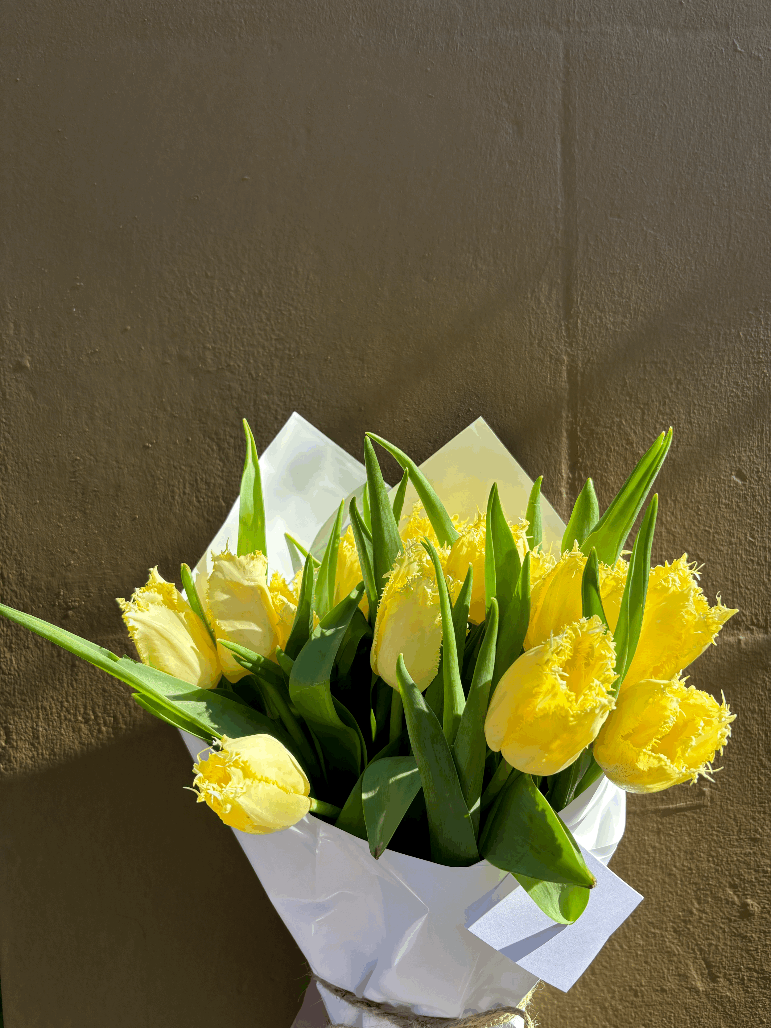 Cricko Tulip Large Bunch - yellow