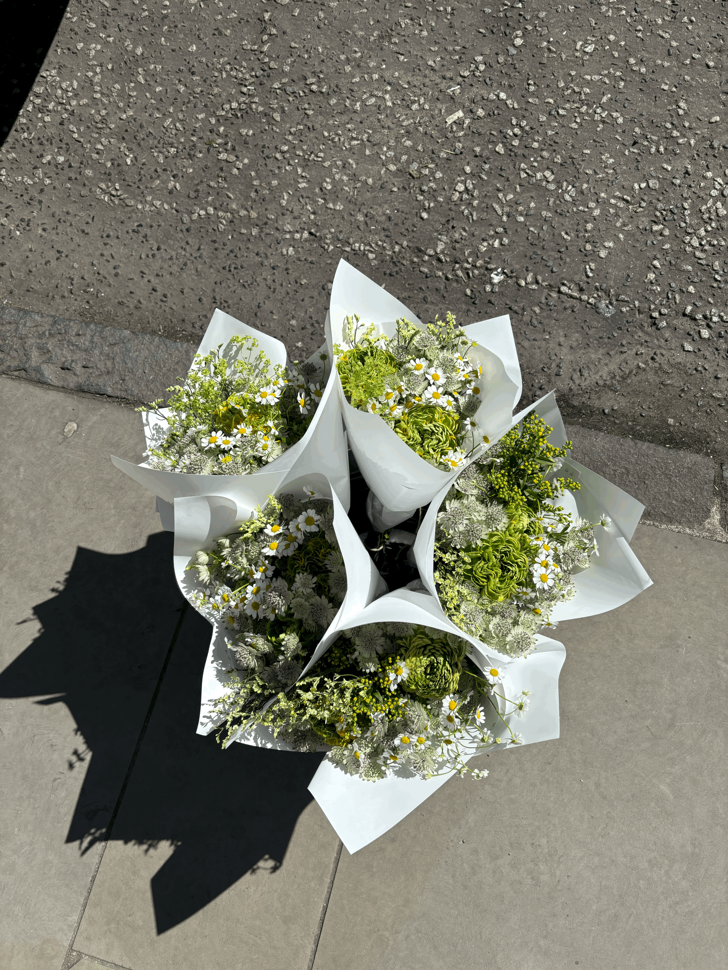tempImageKajRgI.gif (Copy)