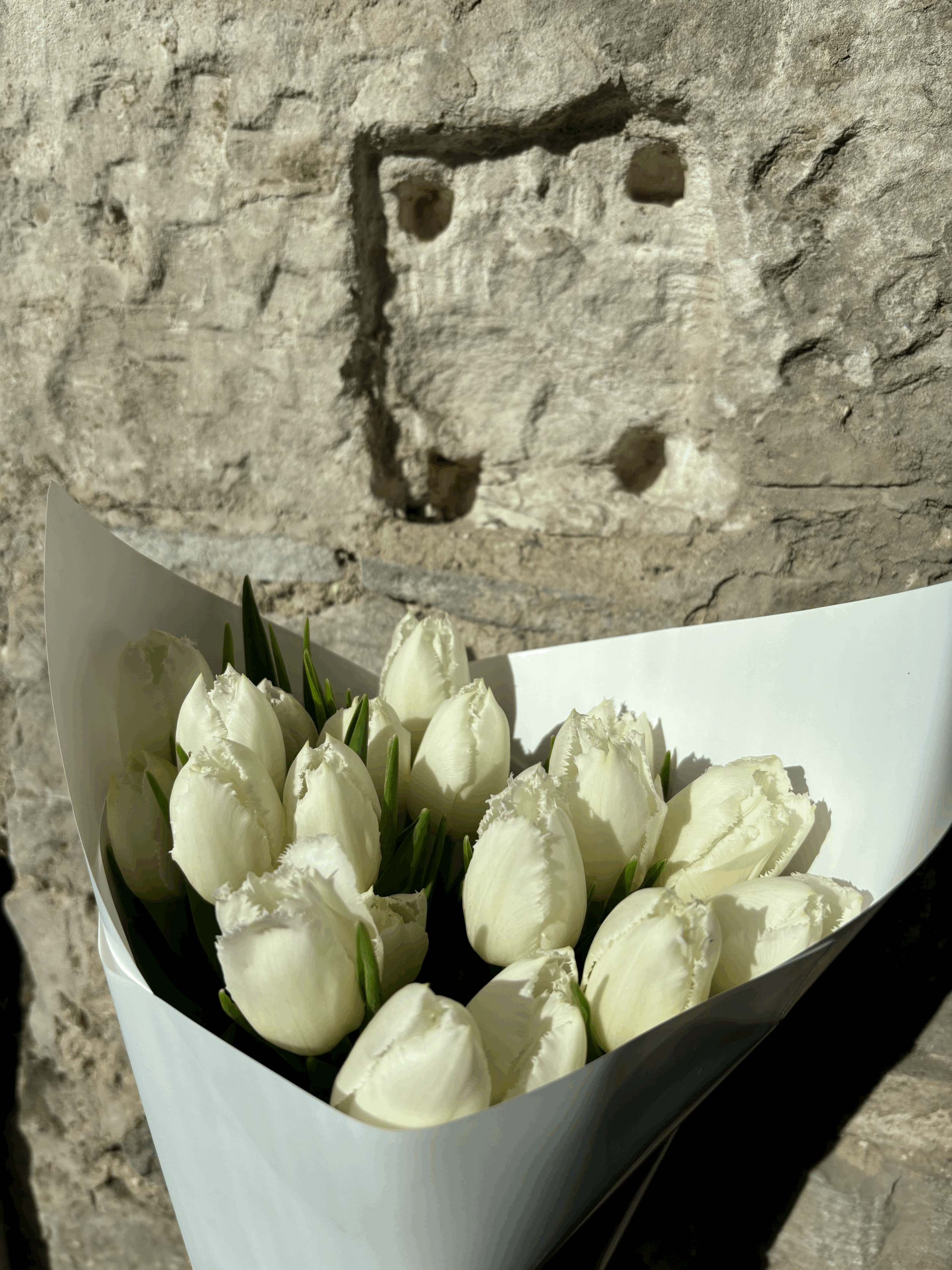 Cricko Tulips- white