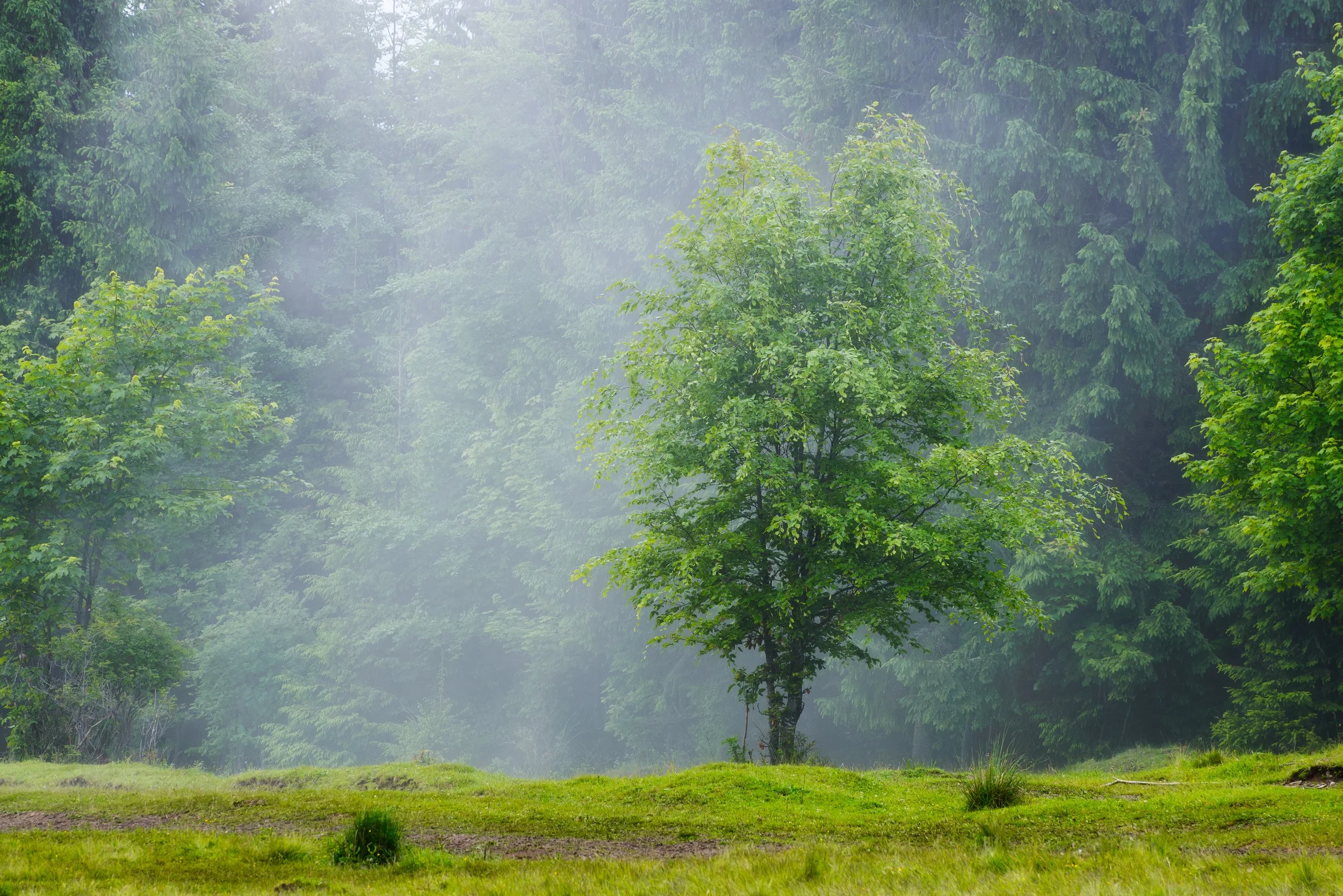 Client Case Study:  Finding Steady Ground in a Season of Change