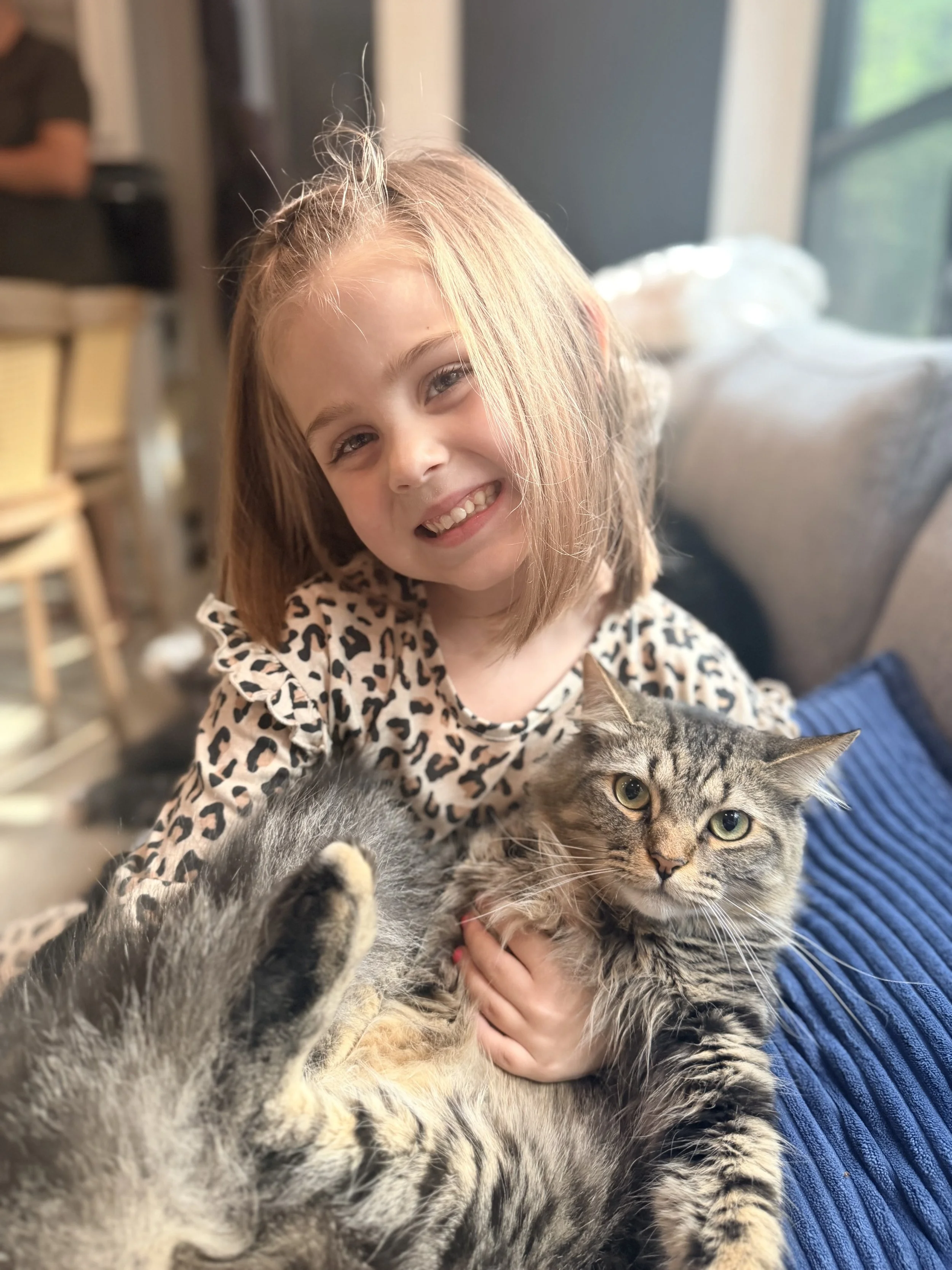 Waggle: Keeping Our Dogs &amp; Cats Safe in the Camper