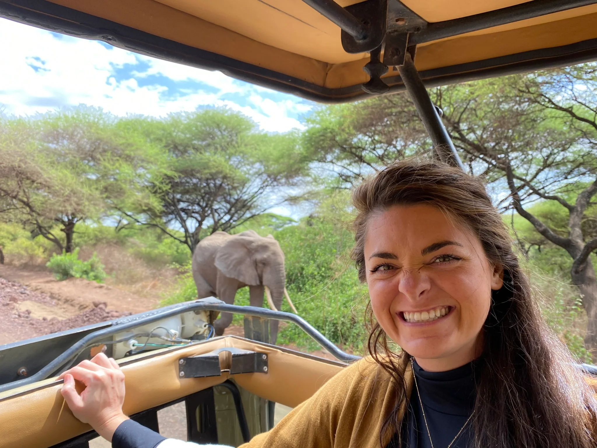 Just Another Wagner Adventure | A woman smiling inside a safari vehicle with an elephant walking nearby in a green, wooded area. Lake Manyara National Park in Tanzania.