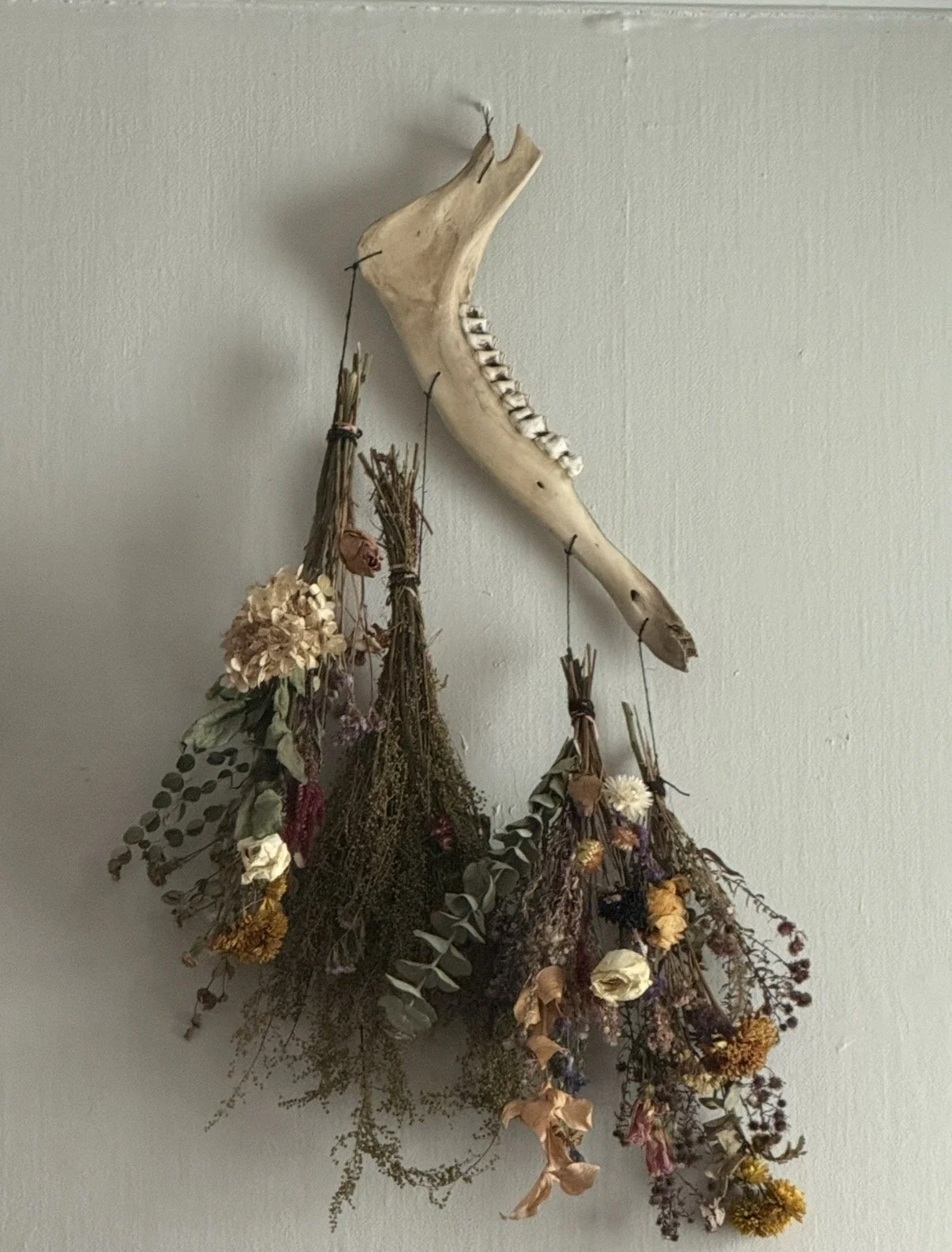 Moose Jaw with Flowers